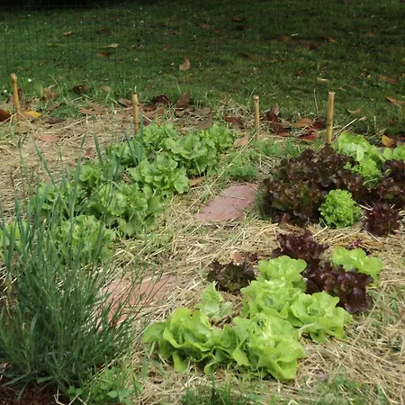 Casa Do Torno 2* Noia