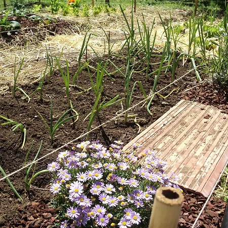 Hotel Casa Do Torno Noia