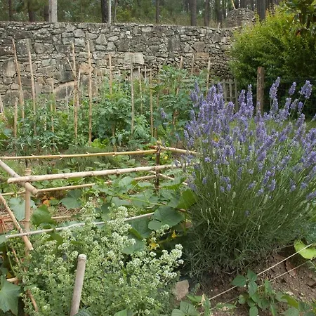 Casa Do Torno نويا