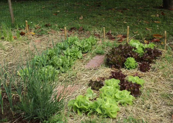 Casa Do Torno 2* Noia