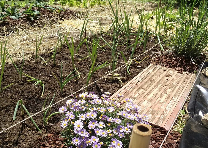 酒店 托尔诺旅馆 诺雅