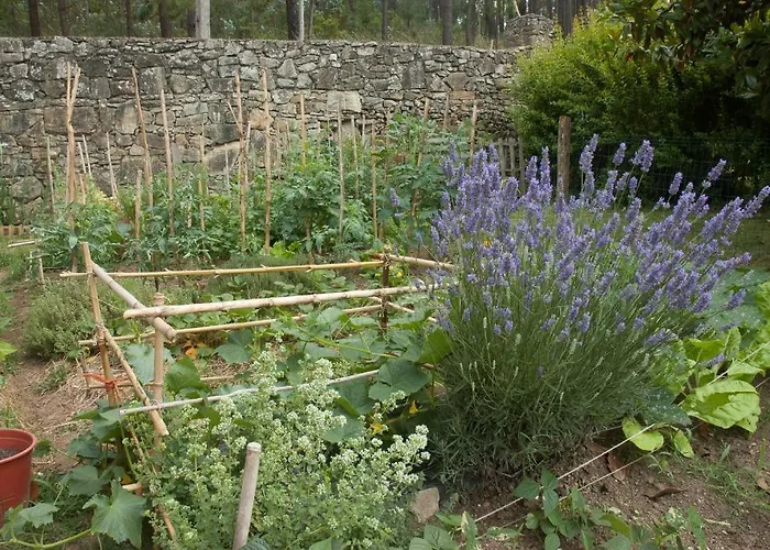 Casa Do Torno Нойя