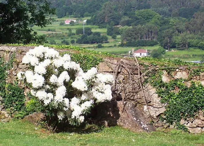 托尔诺旅馆 酒店 诺雅